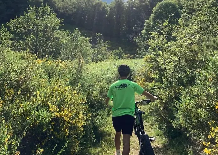 Da Castruccio Degli Antelminelli * Coreglia Antelminelli