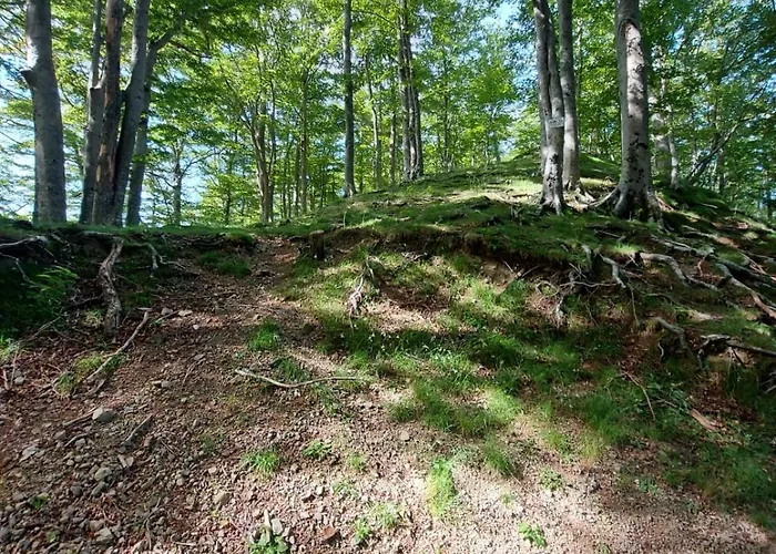 Da Castruccio Degli Antelminelli *