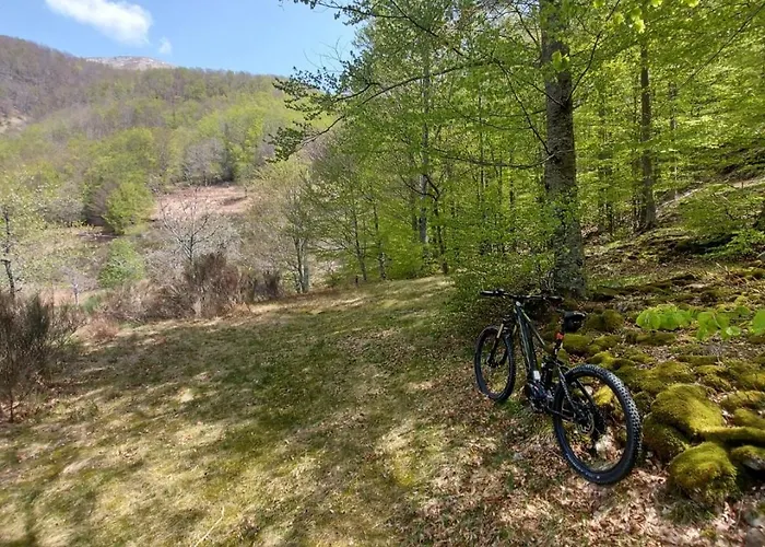 Da Castruccio Degli Antelminelli Apartmán *