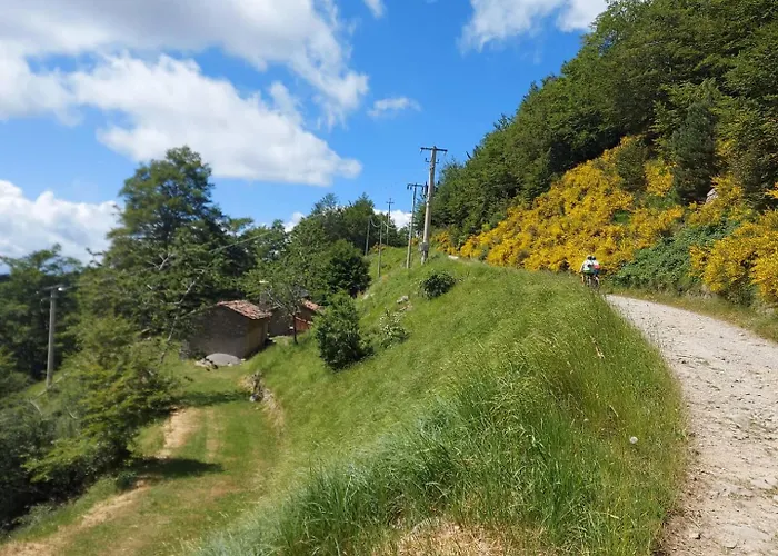 Da Castruccio Degli Antelminelli *