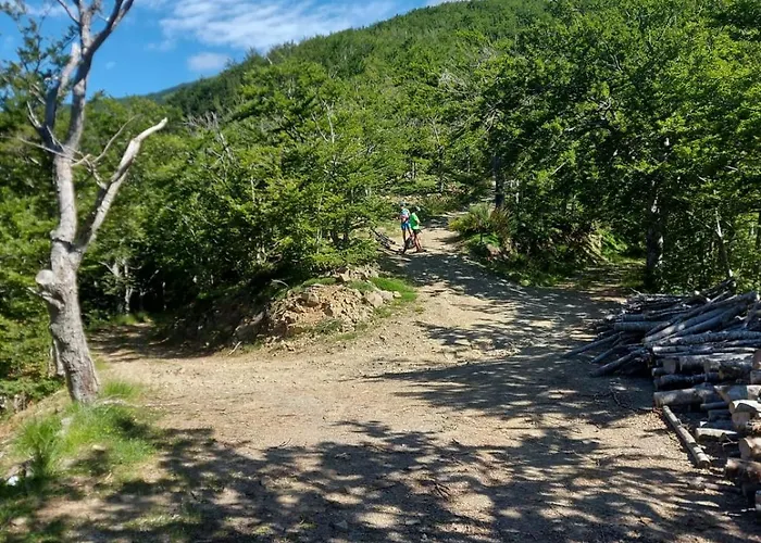 Da Castruccio Degli Antelminelli Apartmán