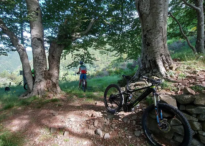 Apartmán Da Castruccio Degli Antelminelli Coreglia Antelminelli