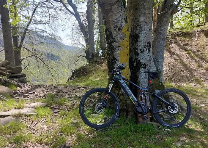 Da Castruccio Degli Antelminelli Apartmán