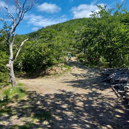 Da Castruccio Degli Antelminelli Apartamento