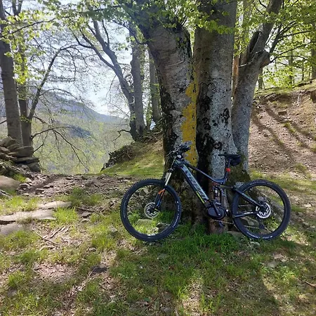 Da Castruccio Degli Antelminelli Apartamento