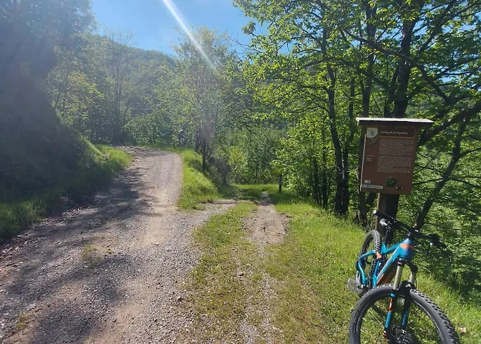 Da Castruccio Degli Antelminelli Apartamento