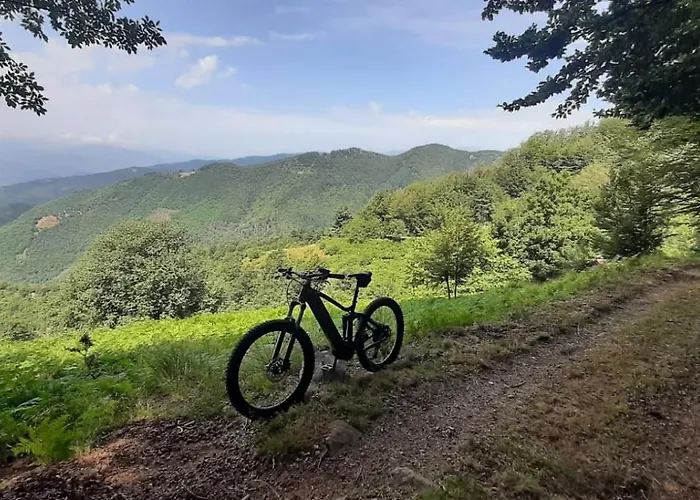 Da Castruccio Degli Antelminelli